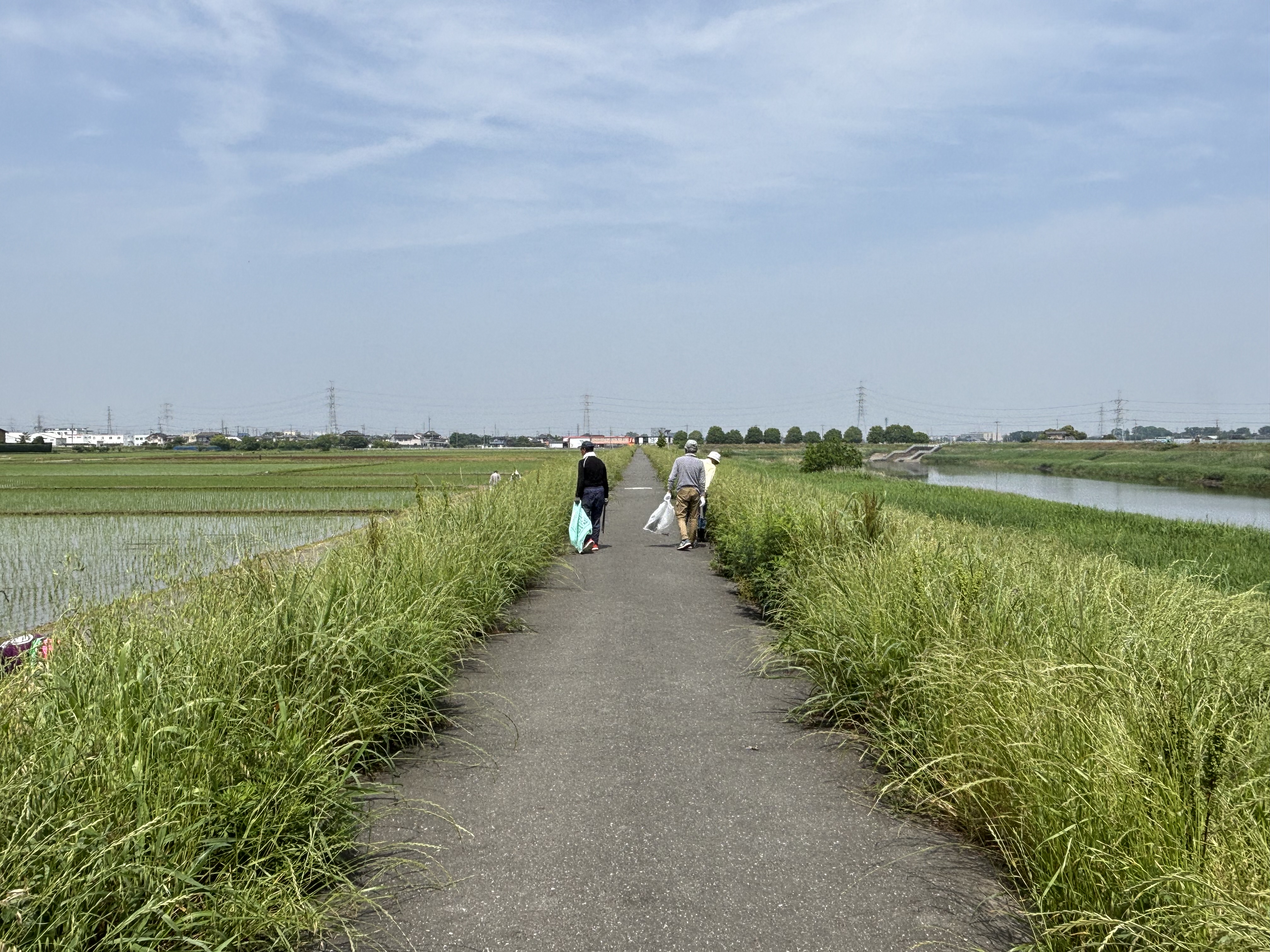 大島新田美化活動