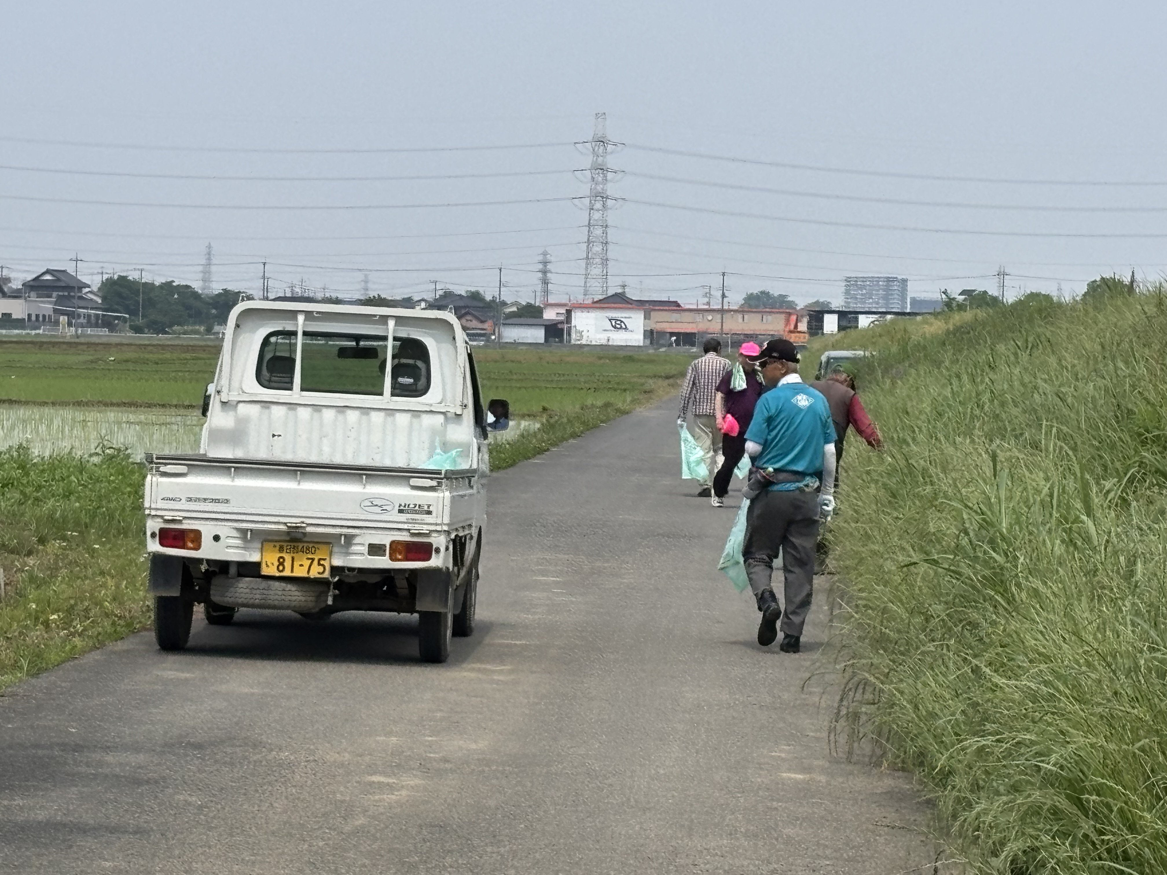 大島新田美化活動
