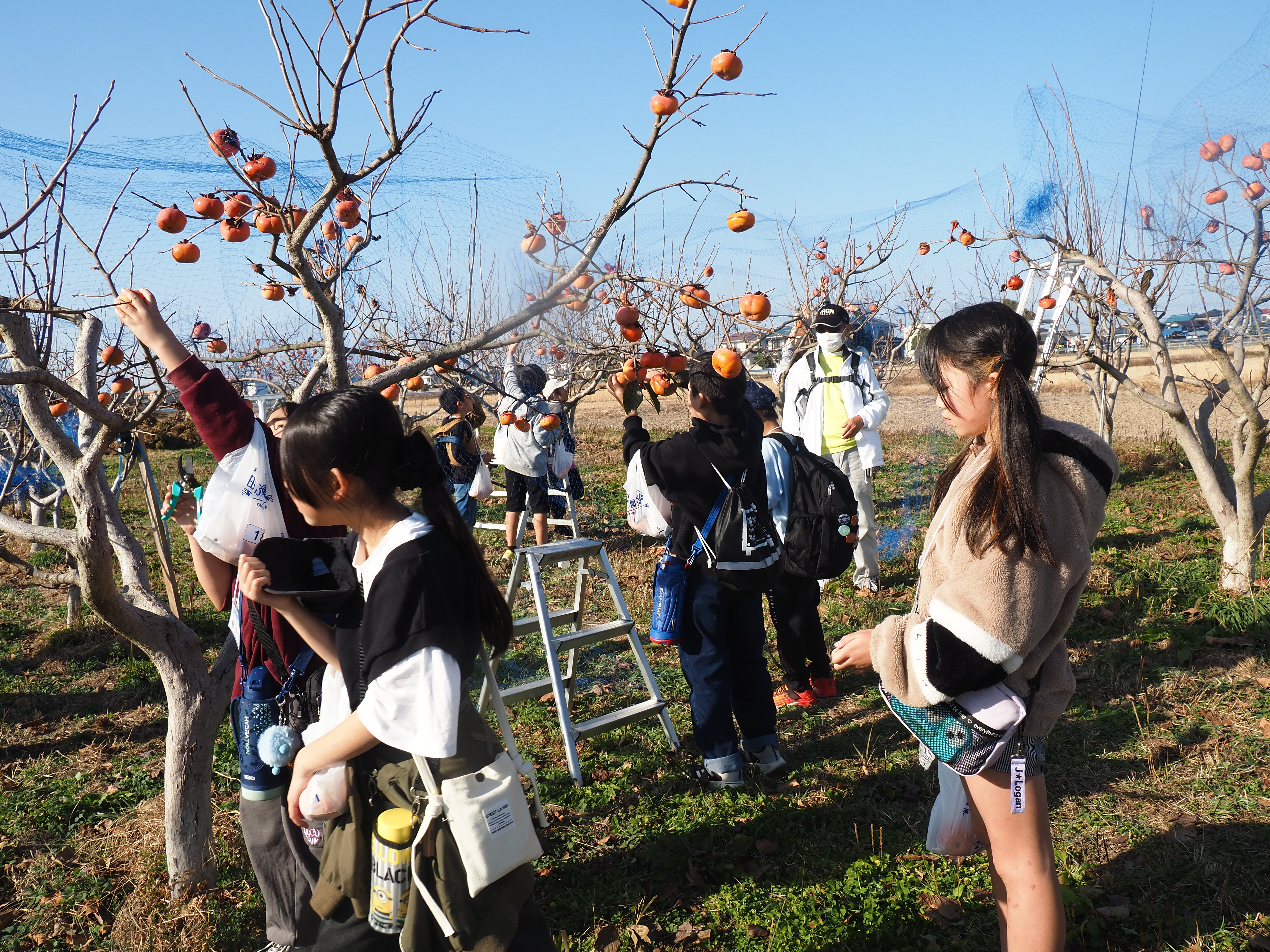 杉戸宿ウォーク