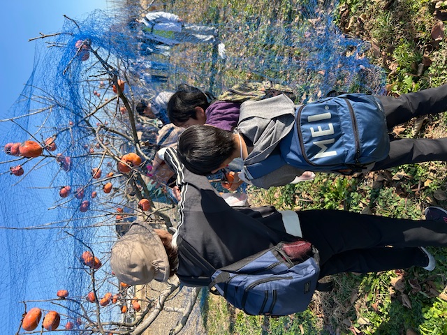 杉戸宿ウォーク