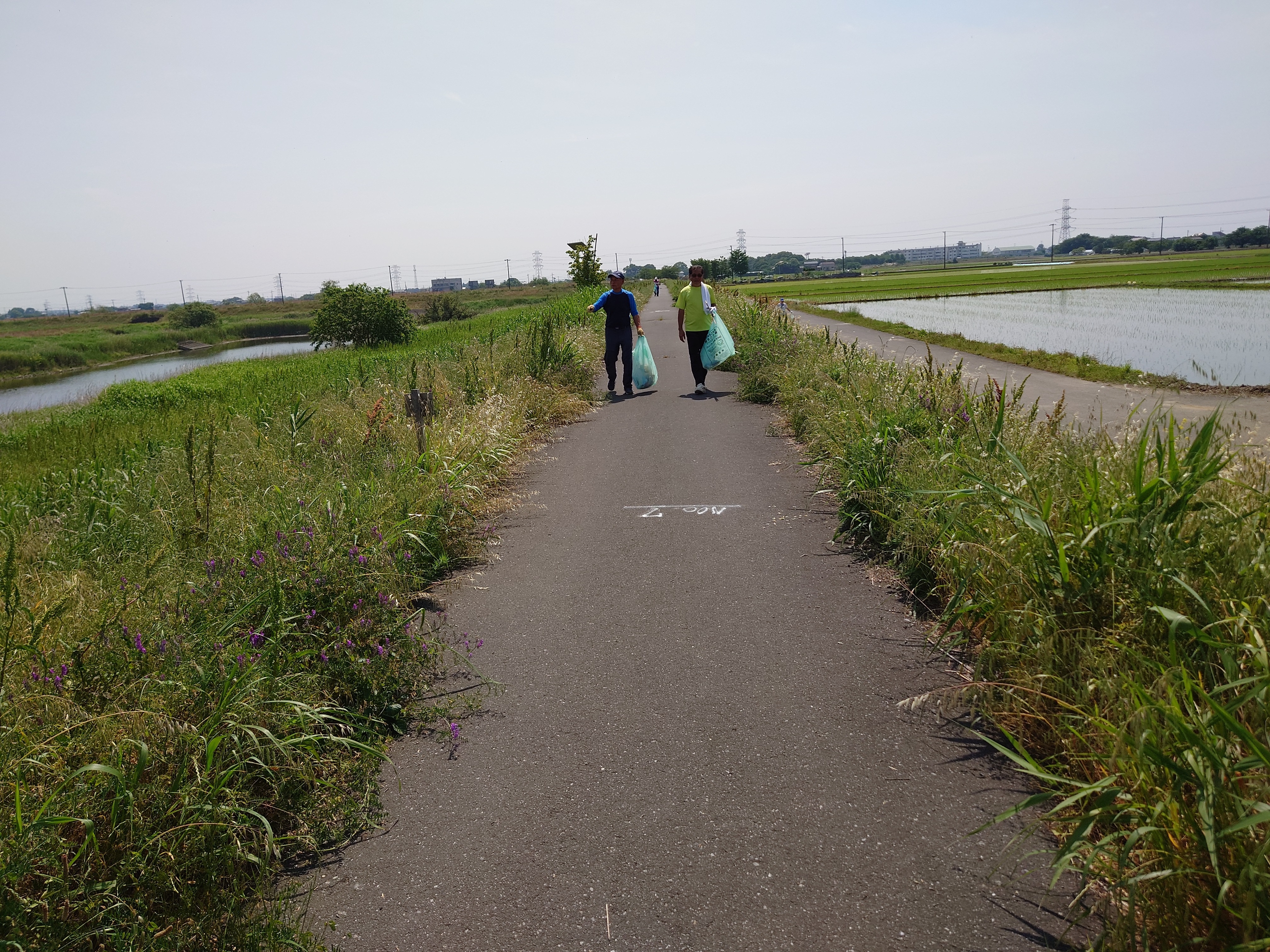 大島新田美化活動